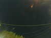 20241004210045-G0015862.JPG