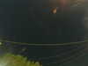 20241004210101-G0015863.JPG