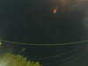 20241004210116-G0015864.JPG