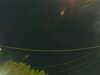 20241004210131-G0015865.JPG