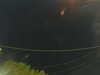 20241004210202-G0015867.JPG