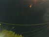 20241004210333-G0015873.JPG