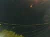 20241004210404-G0015875.JPG
