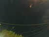 20241004210419-G0015876.JPG