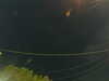20241004210621-G0015884.JPG
