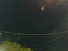 20241004210652-G0015886.JPG