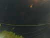 20241004210707-G0015887.JPG