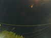 20241004210737-G0015889.JPG