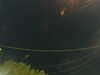 20241004210940-G0015897.JPG