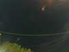 20241004211041-G0015901.JPG