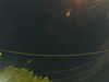 20241004211243-G0015909.JPG