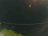 20241004211258-G0015910.JPG