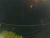 20241004211950-G0015937.JPG