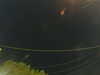 20241004212107-G0015942.JPG