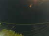 20241004212223-G0015947.JPG