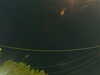 20241004212410-G0015954.JPG