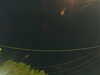 20241004212456-G0015957.JPG
