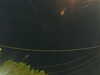 20241004212627-G0015963.JPG