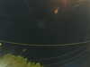 20241004212643-G0015964.JPG