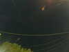 20241004212759-G0015969.JPG
