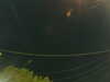 20241004212931-G0015975.JPG