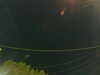 20241004213032-G0015979.JPG