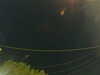20241004213421-G0015994.JPG