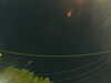 20241004213507-G0015997.JPG