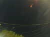 20241004213653-G0016004.JPG