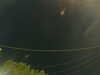20241004213754-G0016008.JPG