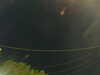 20241004213810-G0016009.JPG