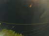 20241004213825-G0016010.JPG