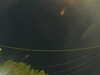 20241004213840-G0016011.JPG