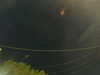20241004213911-G0016013.JPG