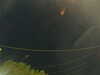 20241004214012-G0016017.JPG