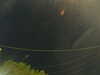 20241004214027-G0016018.JPG