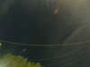 20241004214058-G0016020.JPG