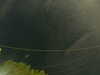 20241004214158-G0016024.JPG