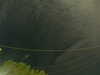 20241004214343-G0016031.JPG