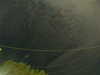 20241004214510-G0016037.JPG