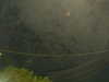 20241004214905-G0016054.JPG