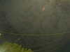 20241004215117-G0016064.JPG