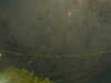 20241004215130-G0016065.JPG