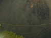 20241004215537-G0016084.JPG