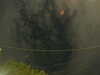 20241004220255-G0016117.JPG