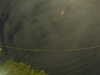 20241004221330-G0016165.JPG