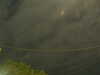 20241004222031-G0016199.JPG