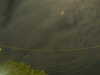 20241004222159-G0016206.JPG