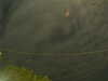 20241004222340-G0016214.JPG