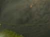 20241004222546-G0016224.JPG